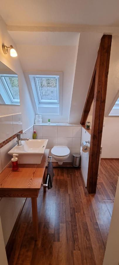 Suesse Kleine Ferienwohnung Пирна Экстерьер фото
